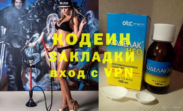 индика Алексин