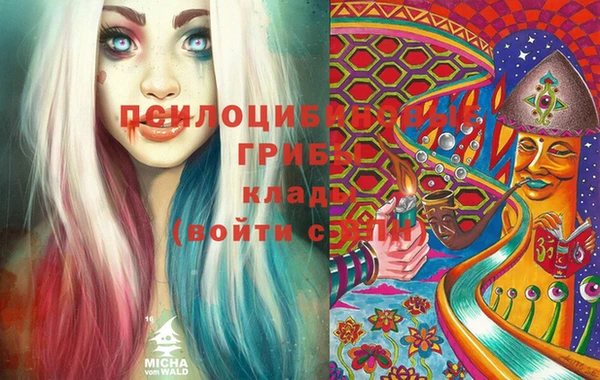 индика Алексин