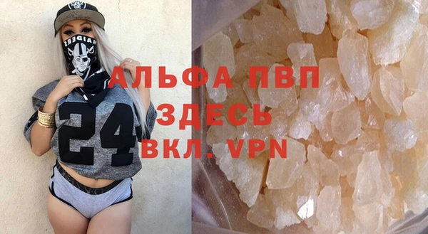 индика Алексин