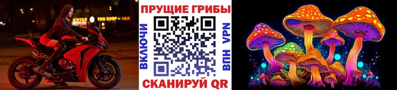 Галлюциногенные грибы Cubensis  наркотики  Морозовск 