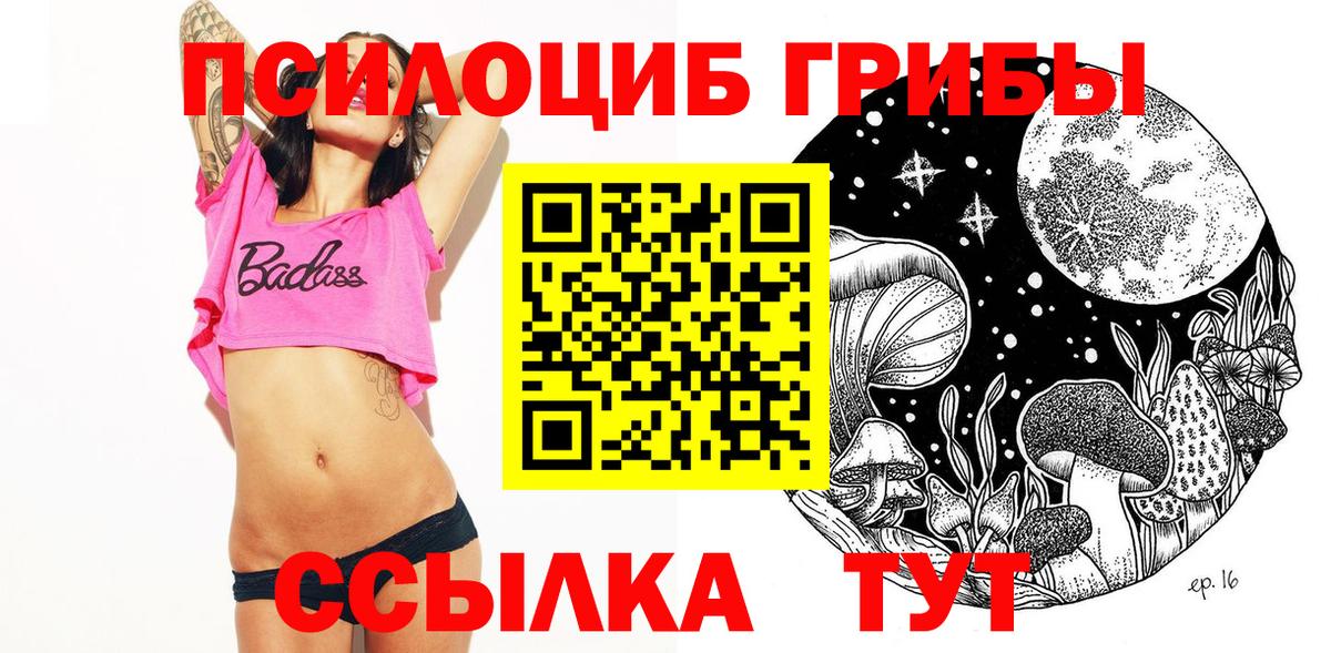 Морозовск  Псилоцибиновые грибы прущие грибы  Вход с VPN 